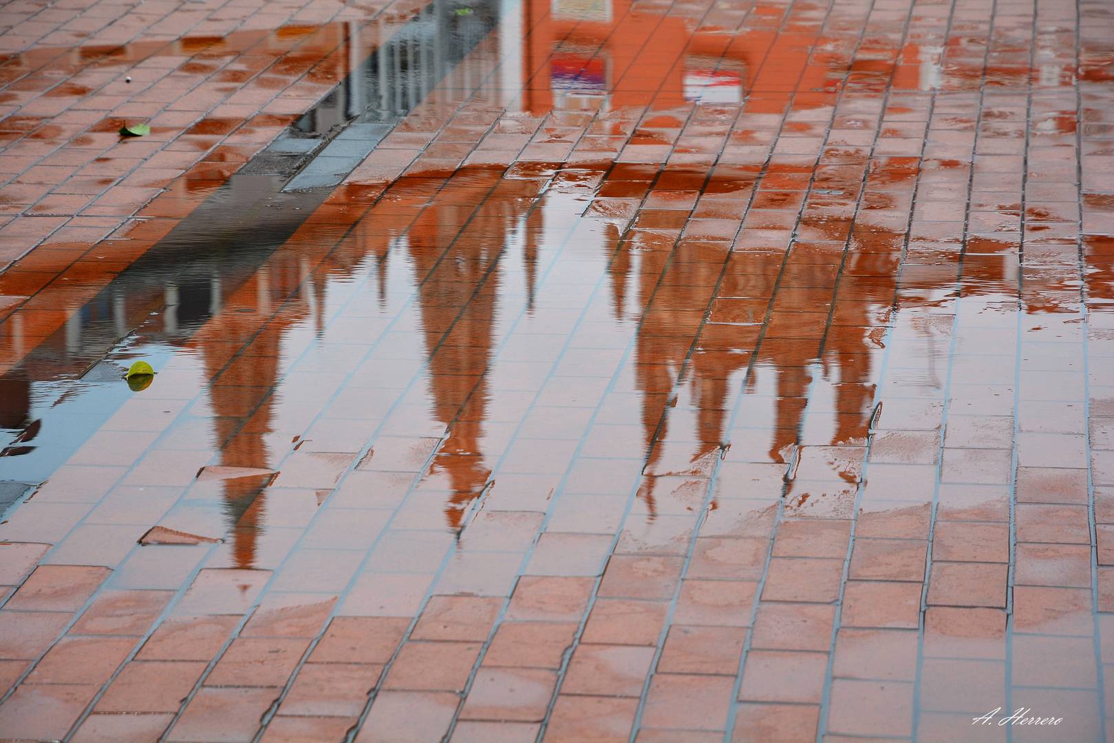 Reflejos de Burgos