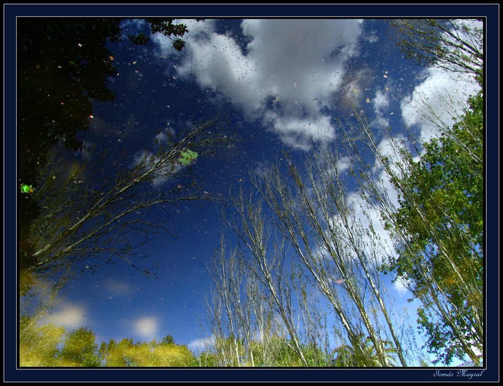 Reflejos de Cielo