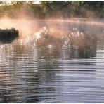 Reflejos de la mañana (Reflexe am Morgen)