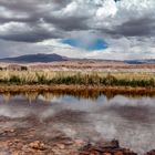 Reflejos de la puna