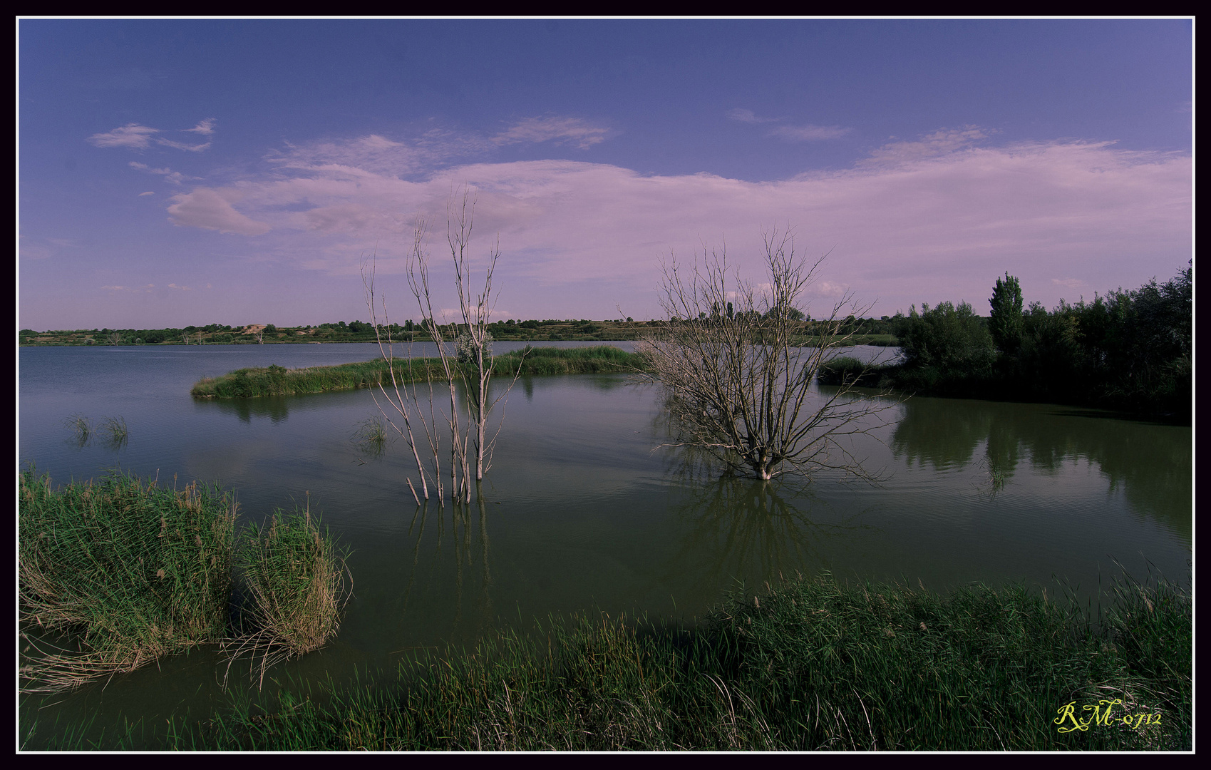 reflejos de la tarde - Ivars II -