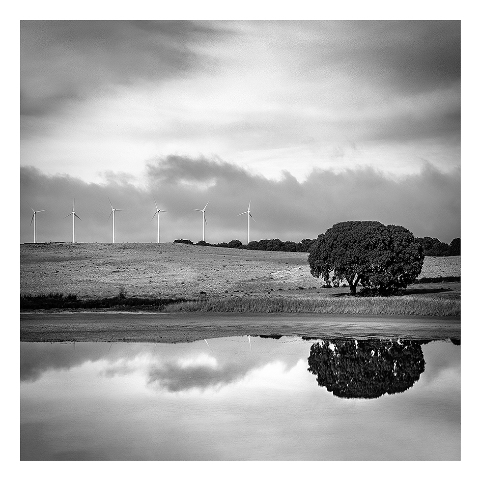 reflejos de laguna