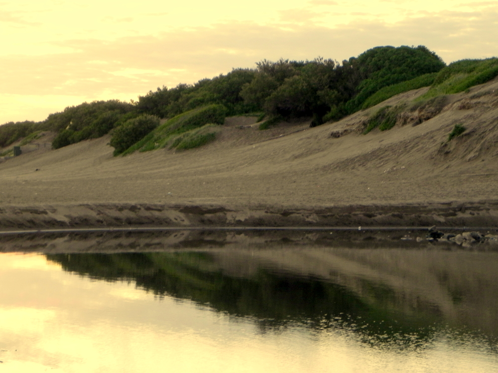 REFLEJOS DE LOS MEDANOS O DUNAS