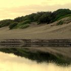 REFLEJOS DE LOS MEDANOS O DUNAS