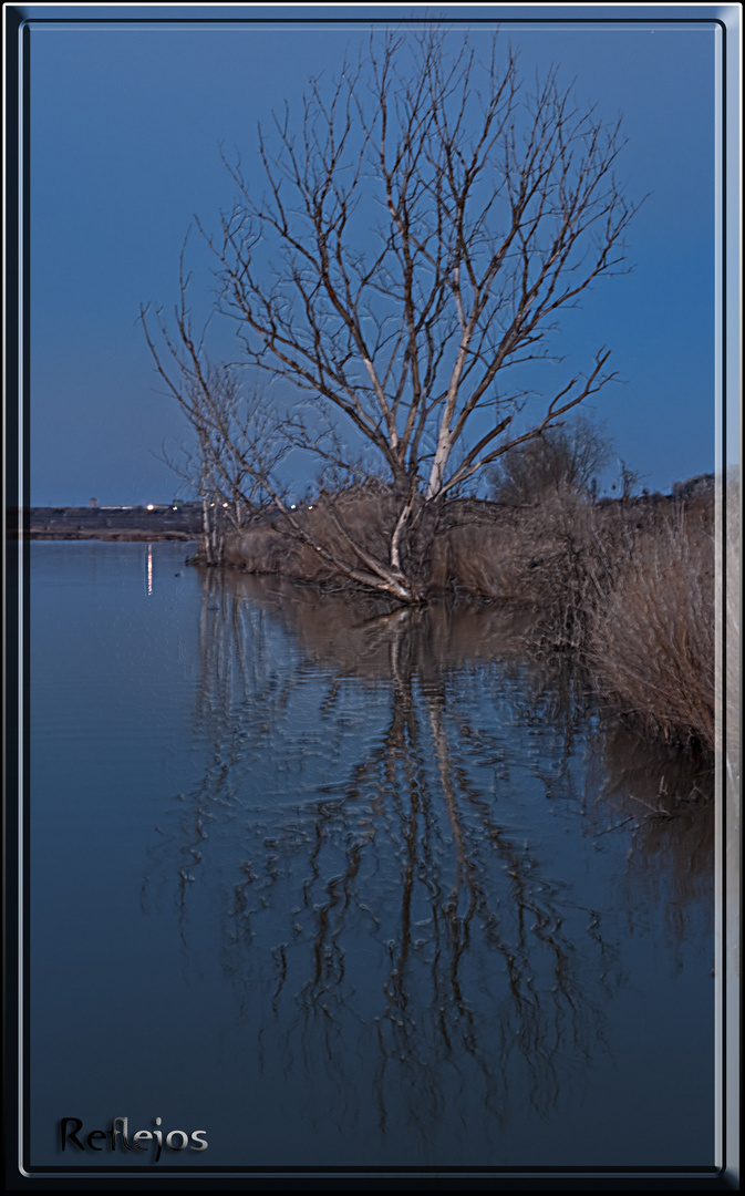 REFLEJOS DE MEDIA TARDE