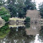 reflejos de mi rio