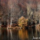 Reflejos de otoño