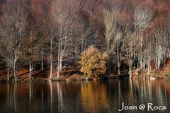 Reflejos de otoño