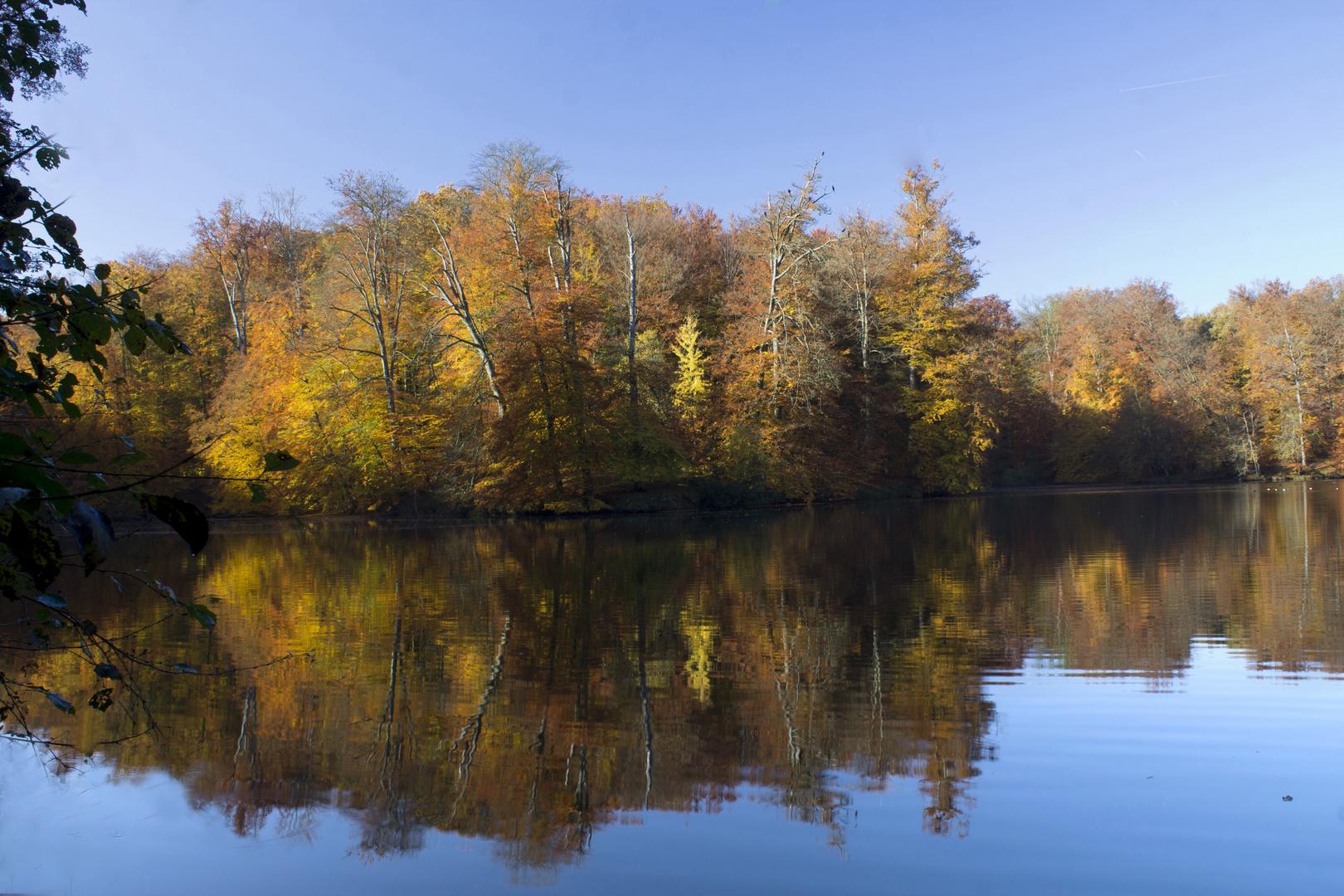 Reflejos de otoño