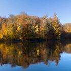 Reflejos de otoño