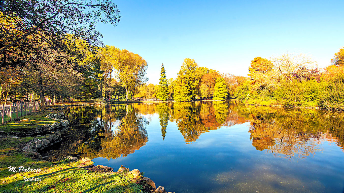 Reflejos de otoño