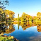 Reflejos de otoño