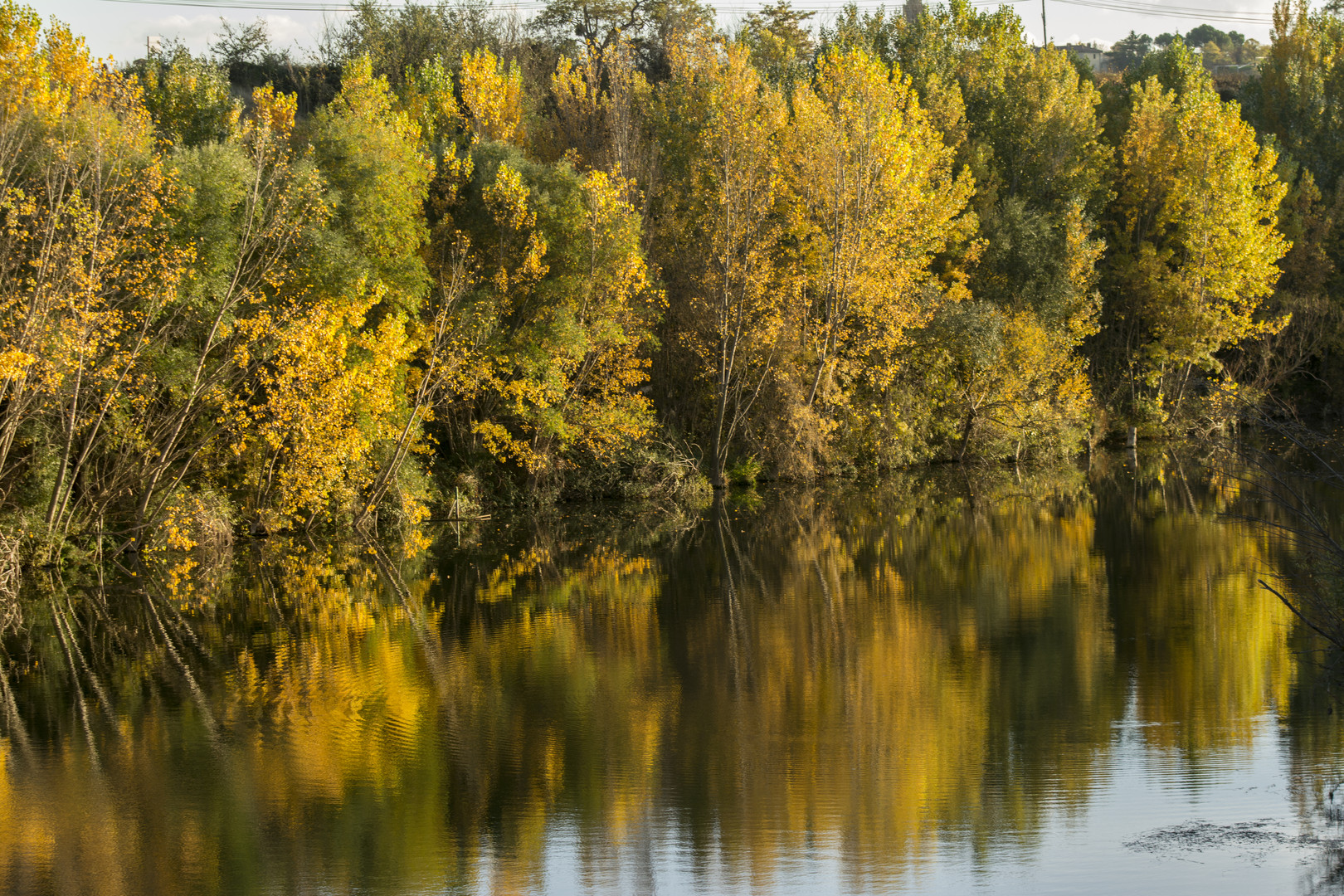 Reflejos de otoño