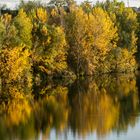 Reflejos de otoño