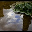 Reflejos de Santa Clotilde - Lloret de Mar