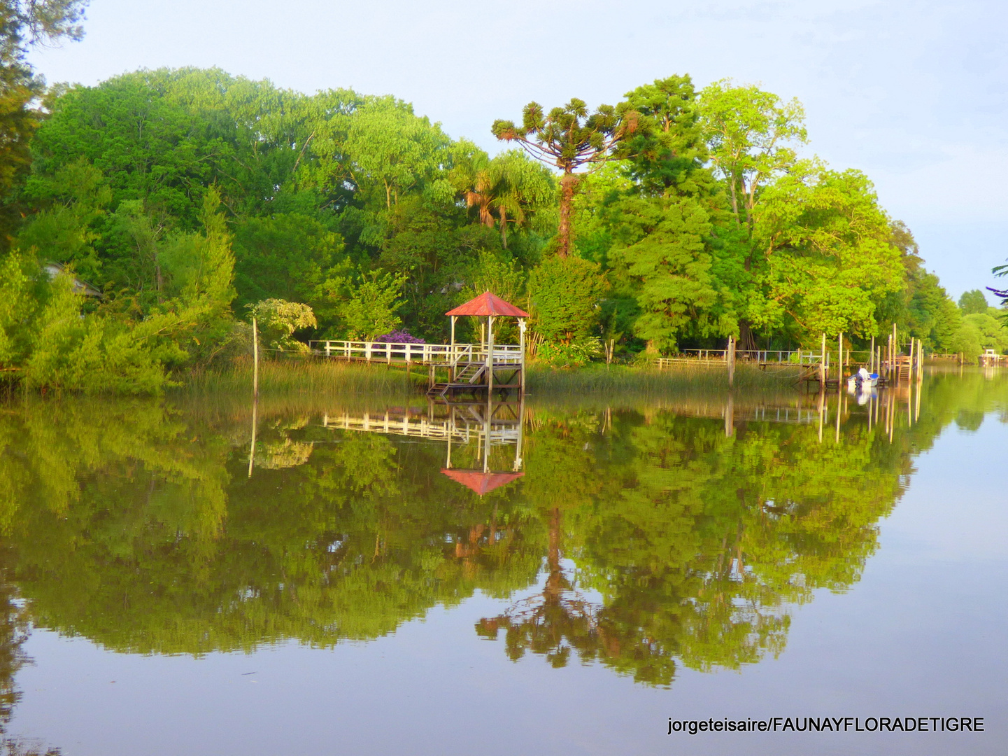 Reflejos del agua