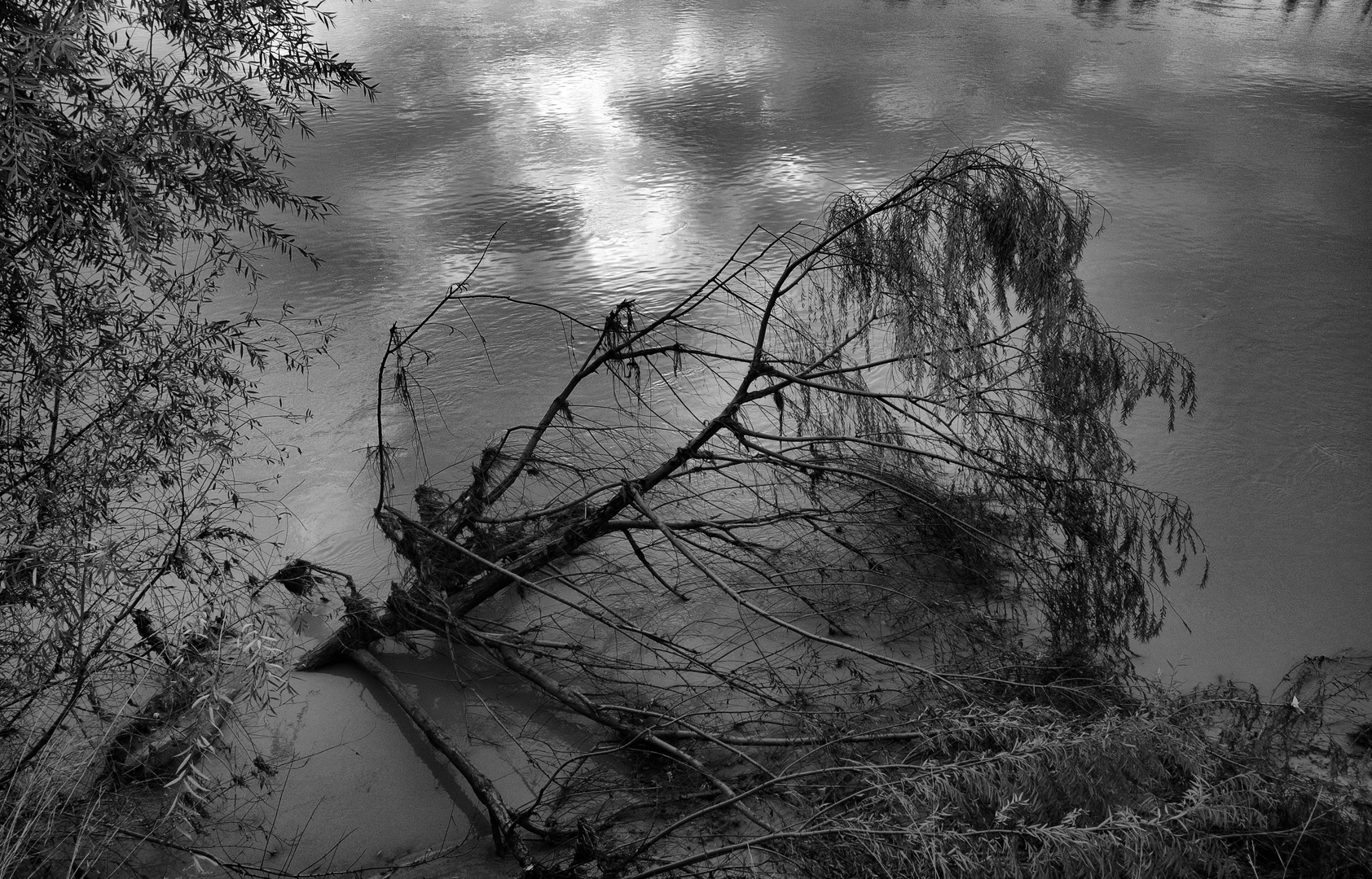 REFLEJOS DEL AGUA EN BLANCO Y NEGRO.