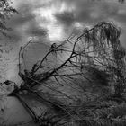 REFLEJOS DEL AGUA EN BLANCO Y NEGRO.