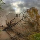 REFLEJOS DEL AGUA EN COLORES