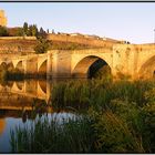 REFLEJOS DEL ALCÁZAR