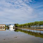 Reflejos del Delta