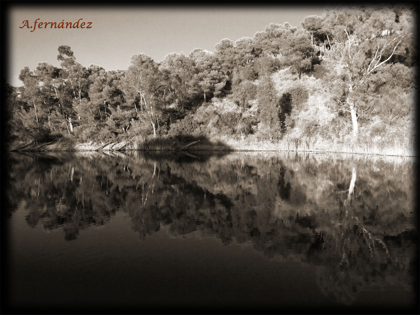 Reflejos del Lago.