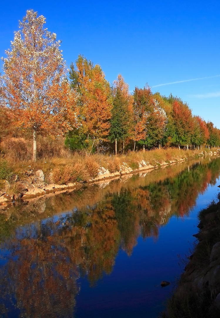 Reflejos del otoño