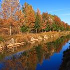 Reflejos del otoño