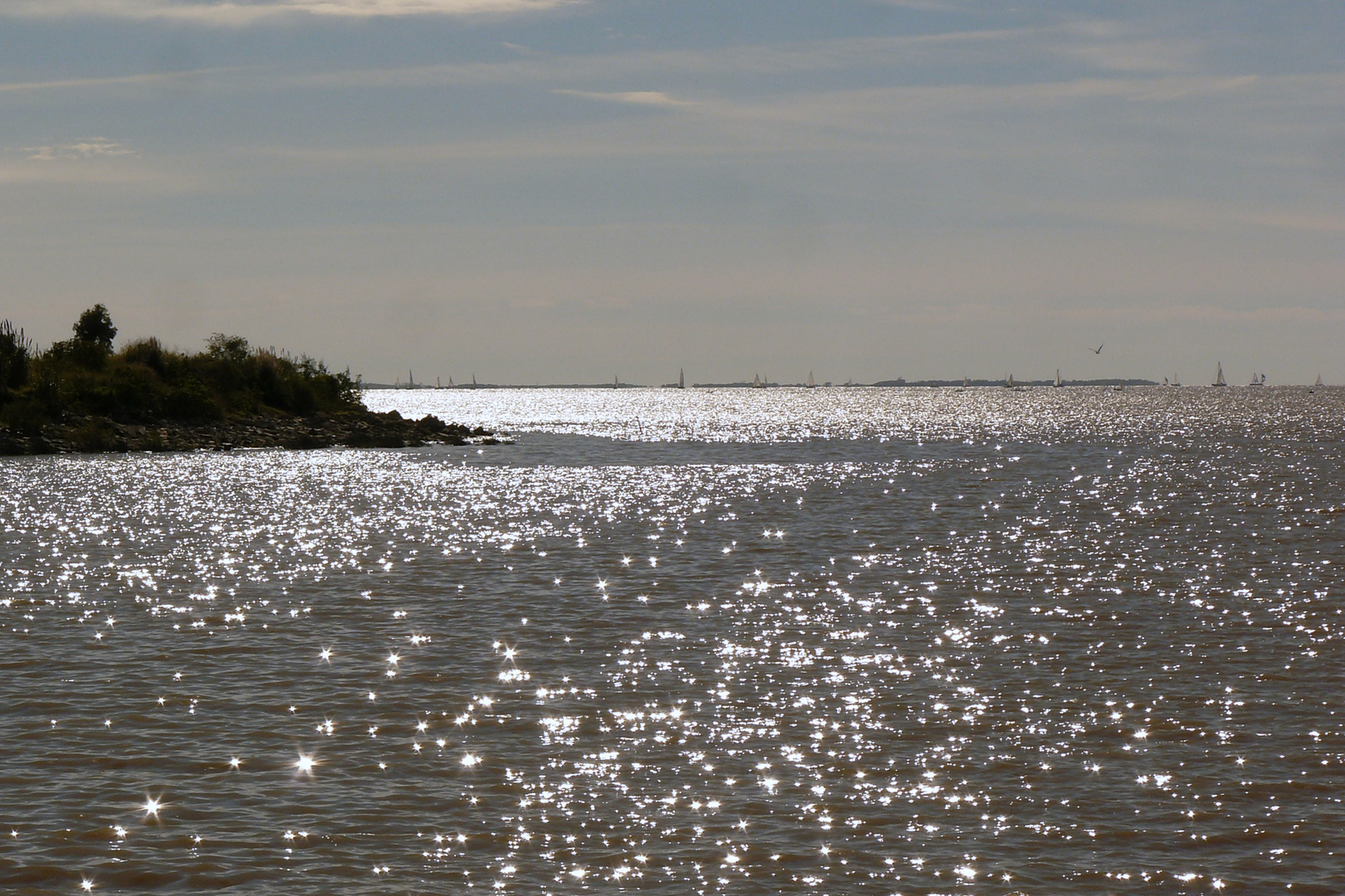 reflejos del plata....