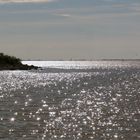 reflejos del plata....