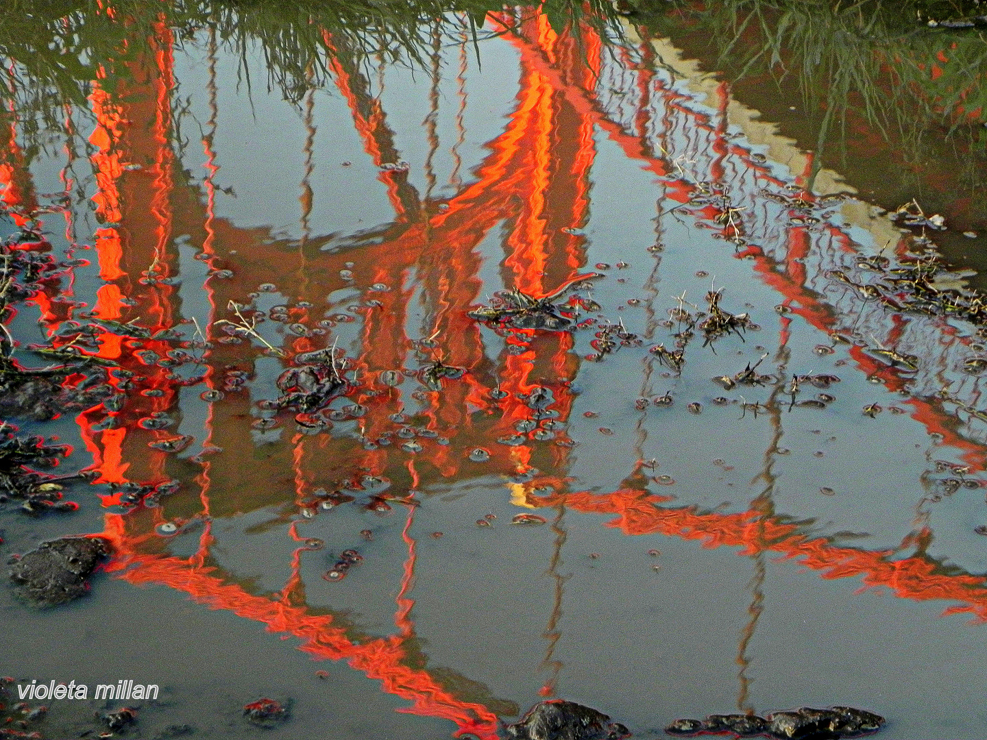 REFLEJOS DEL PUENTE COLGANTE,NECOCHEA