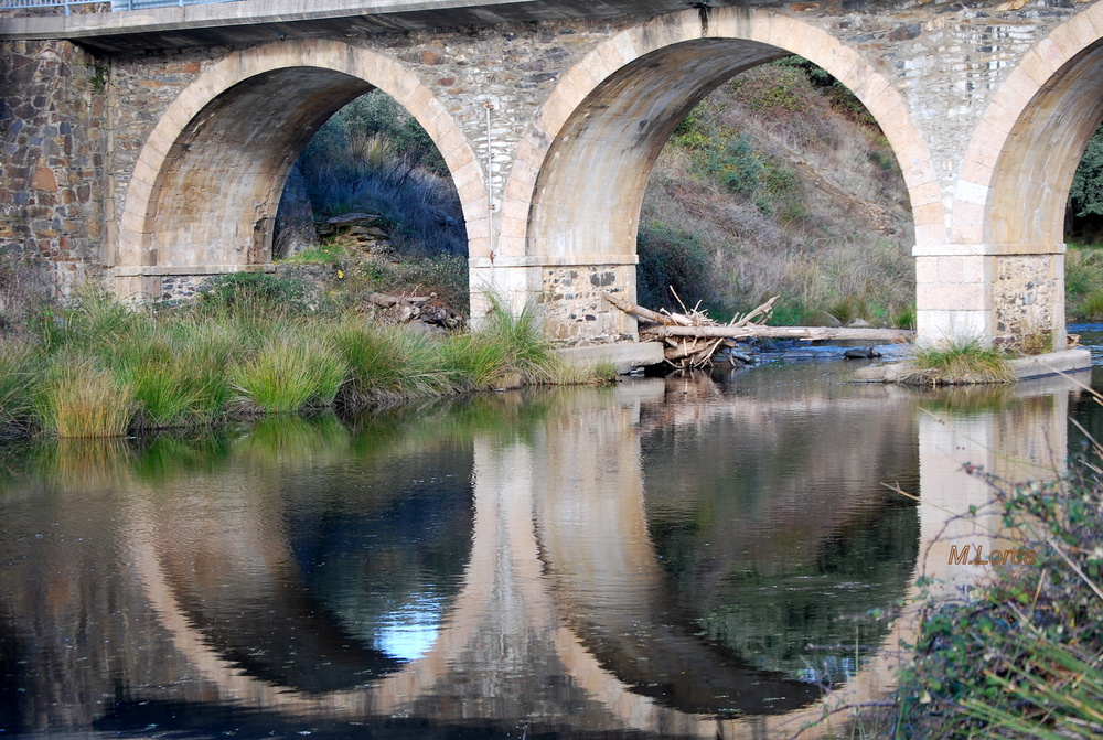 reflejos del puente rio cuerpo de hombre 1