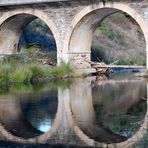 reflejos del puente rio cuerpo de hombre 1