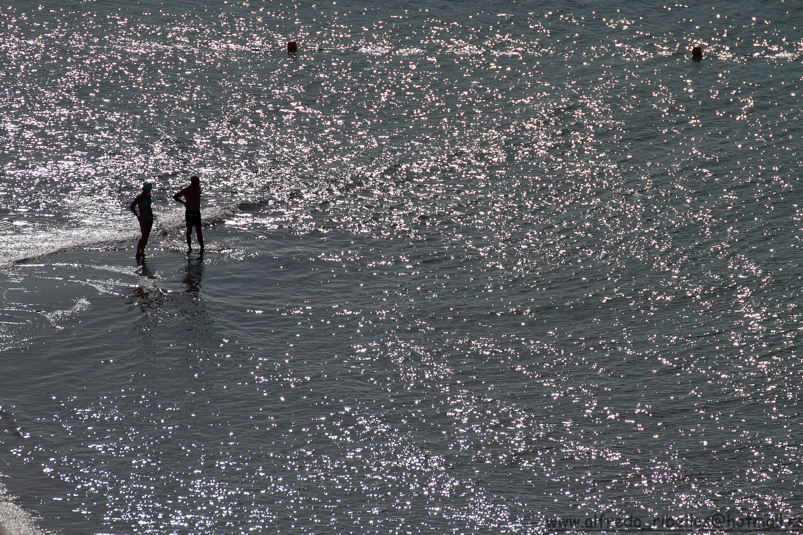 REFLEJOS