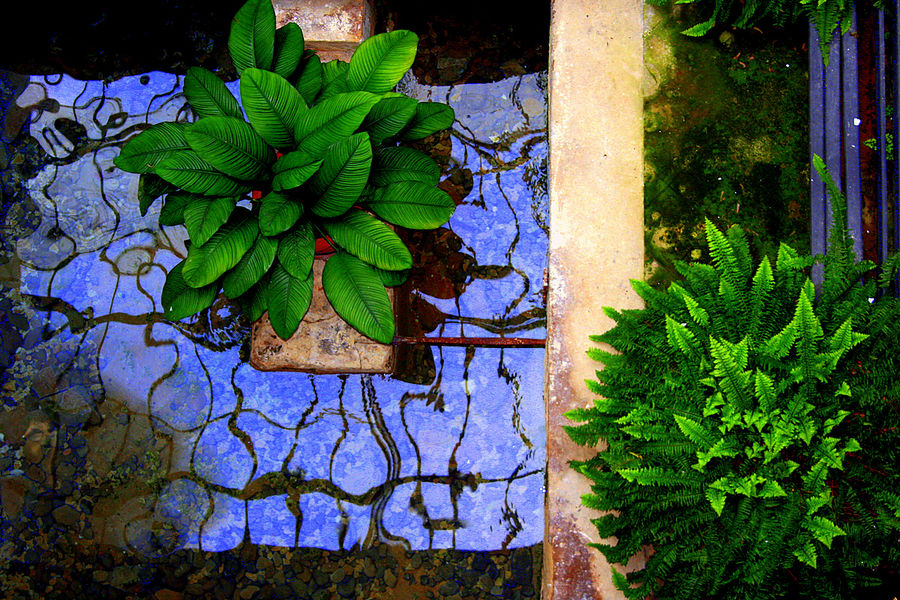 Reflejos en agua clara.