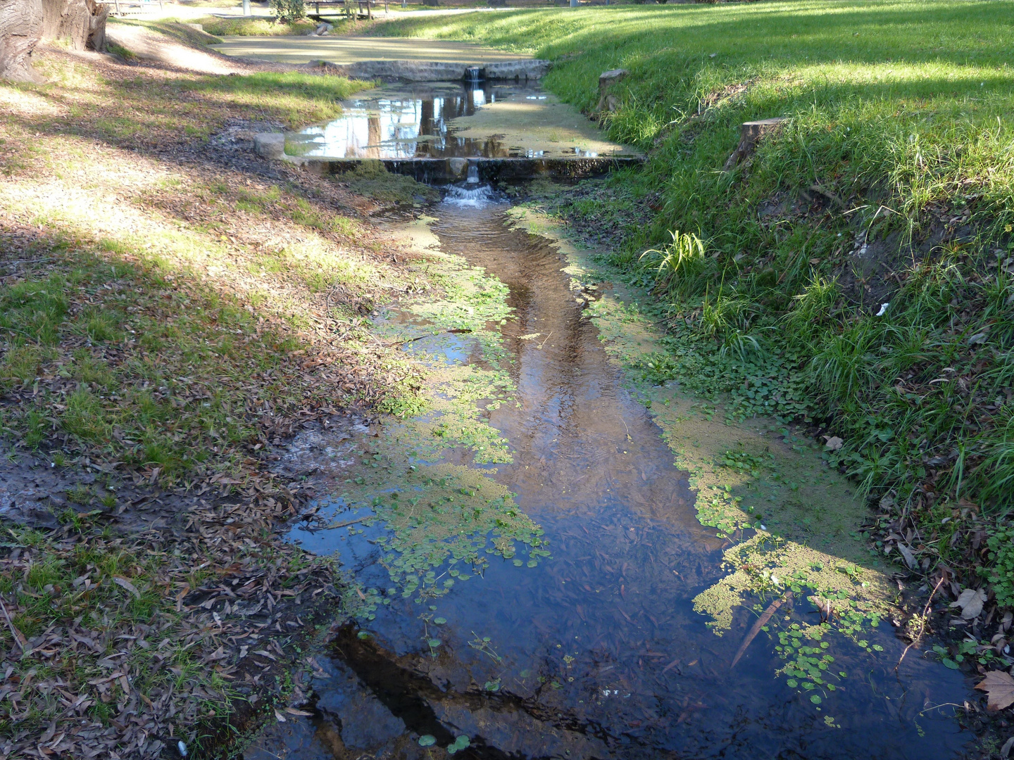 Reflejos en aguas del arroyo