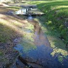 Reflejos en aguas del arroyo