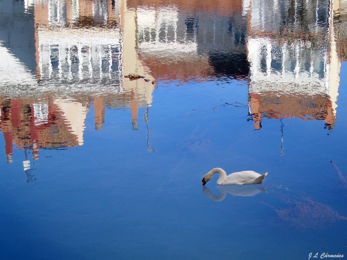 Reflejos en Aguilar de Campoo