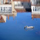 Reflejos en Aguilar de Campoo