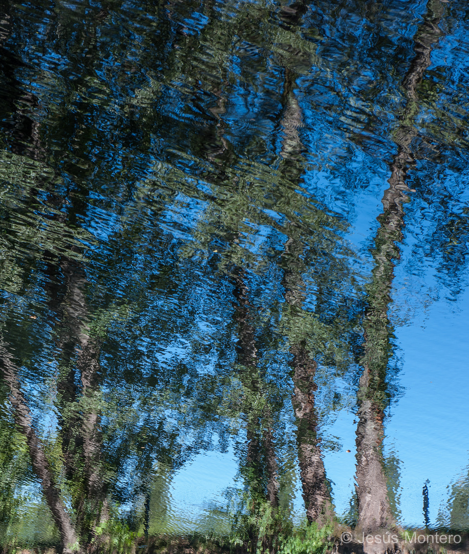 Reflejos en el agua