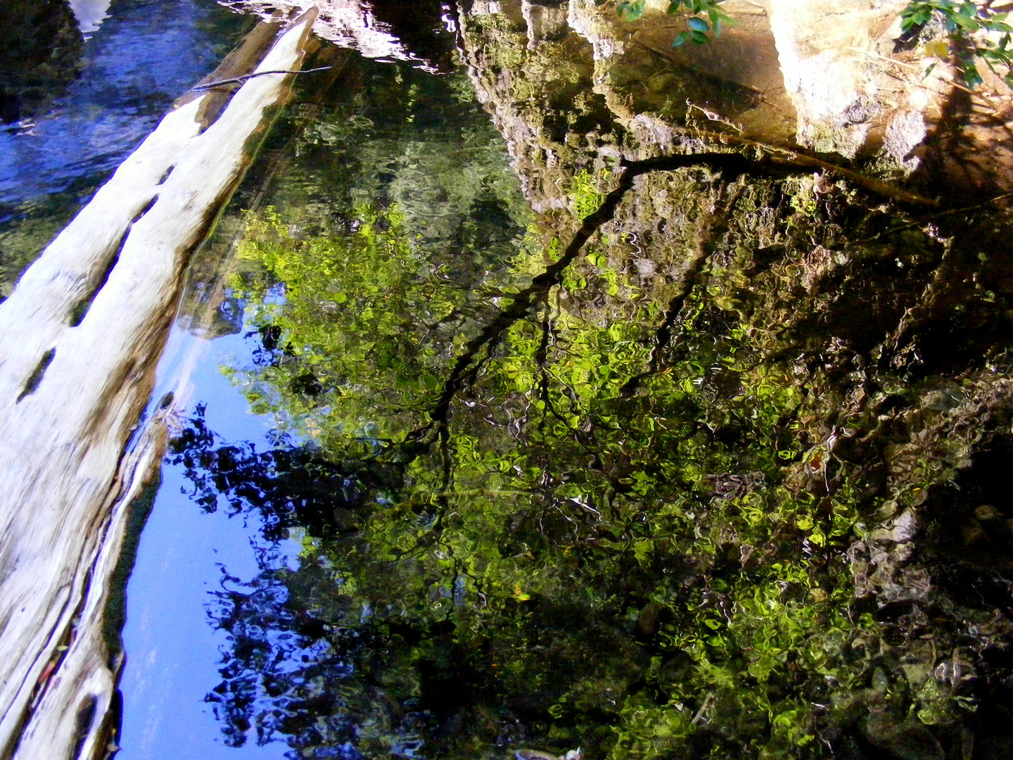 Reflejos en el agua