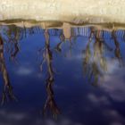 Reflejos en el agua