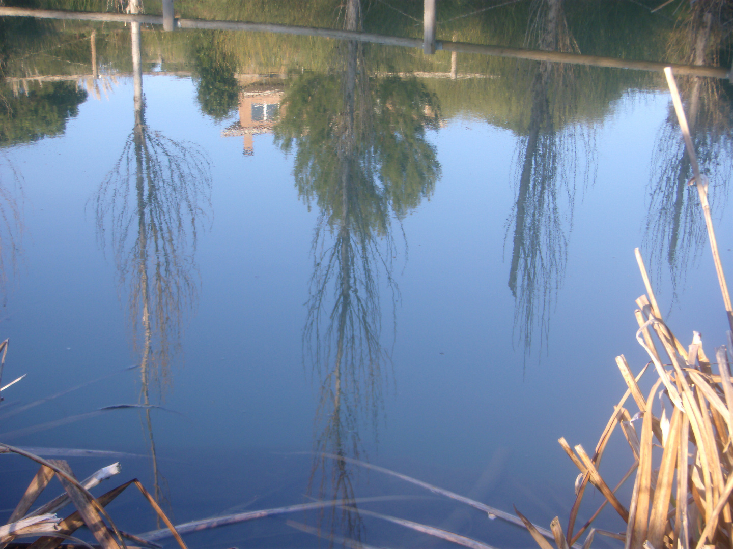 REFLEJOS EN EL AGUA