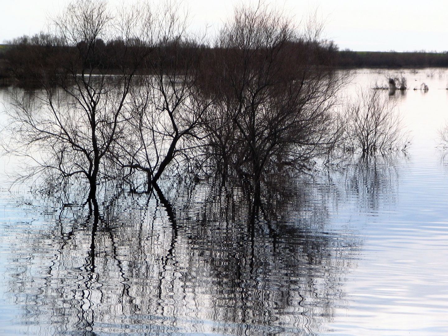 Reflejos en el agua.