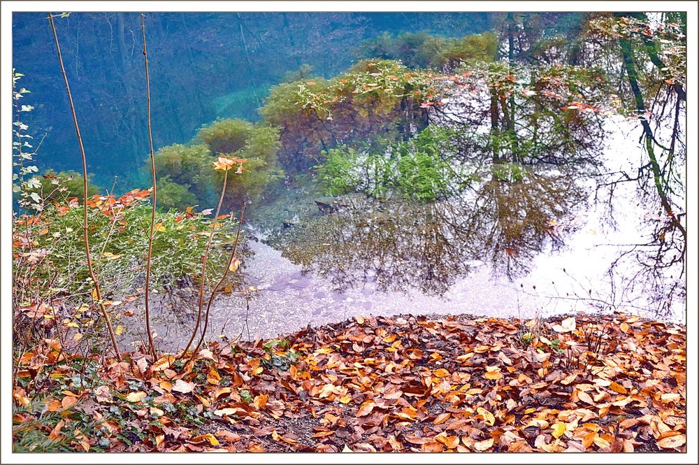 Reflejos  en el Blautopf 