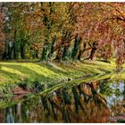 Reflejos en el Calvú-Leovú