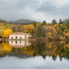 Reflejos en el lago