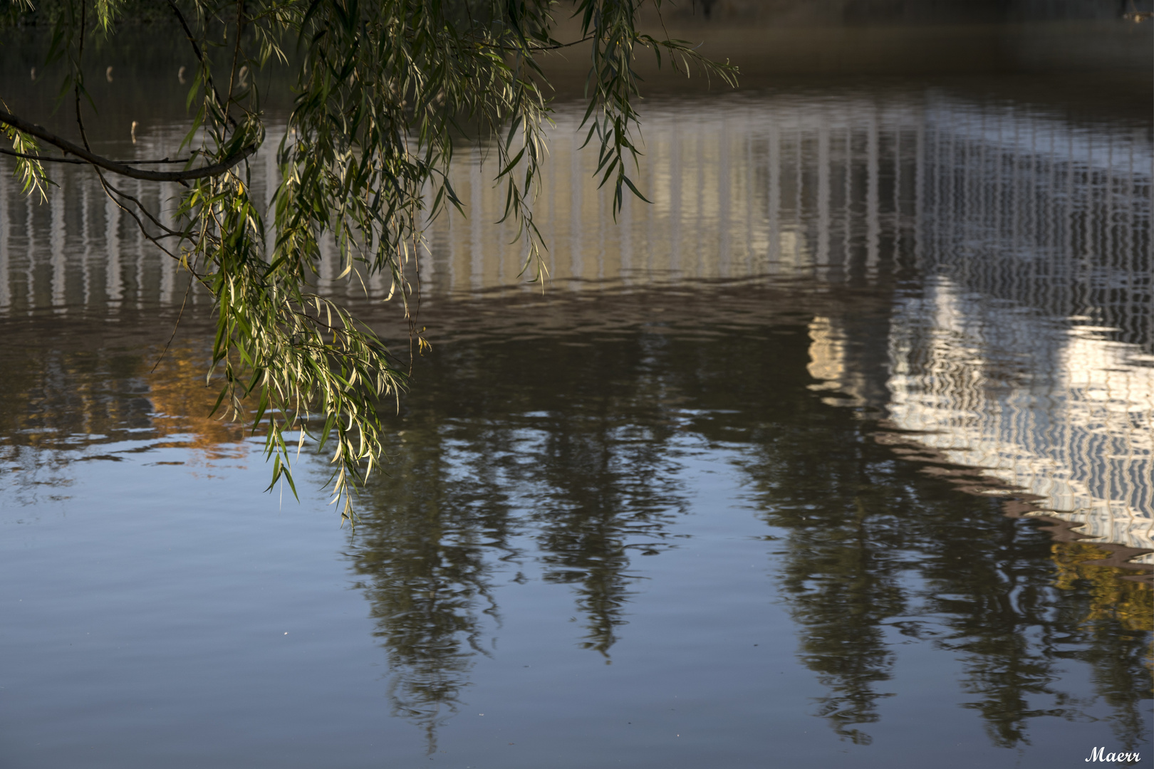 Reflejos en el lago