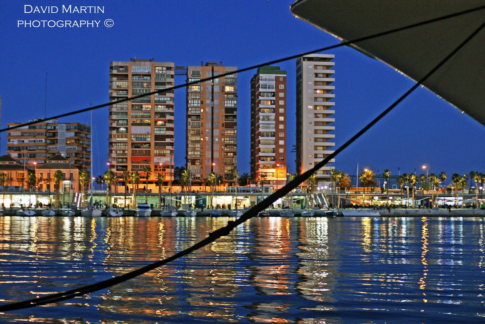 Reflejos En El Mar