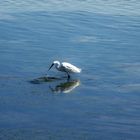 Reflejos en el mar